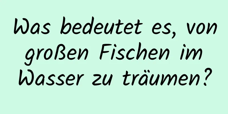 Was bedeutet es, von großen Fischen im Wasser zu träumen?