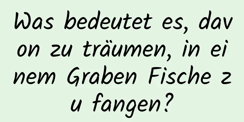 Was bedeutet es, davon zu träumen, in einem Graben Fische zu fangen?