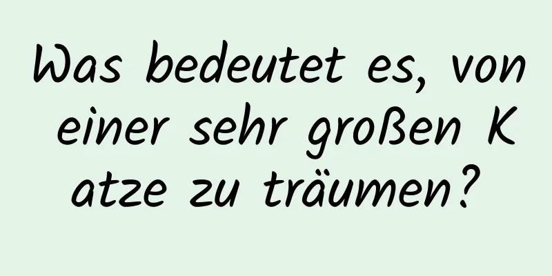 Was bedeutet es, von einer sehr großen Katze zu träumen?