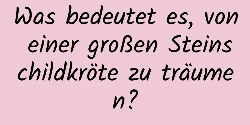 Was bedeutet es, von einer großen Steinschildkröte zu träumen?