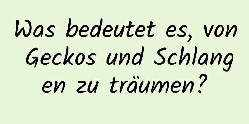 Was bedeutet es, von Geckos und Schlangen zu träumen?