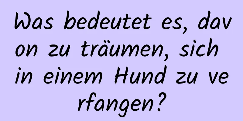 Was bedeutet es, davon zu träumen, sich in einem Hund zu verfangen?