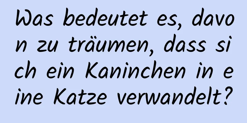 Was bedeutet es, davon zu träumen, dass sich ein Kaninchen in eine Katze verwandelt?