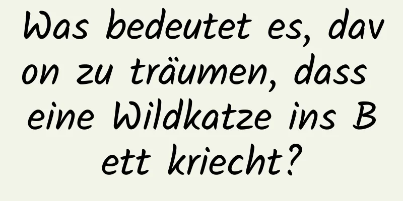 Was bedeutet es, davon zu träumen, dass eine Wildkatze ins Bett kriecht?