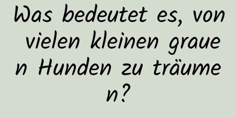 Was bedeutet es, von vielen kleinen grauen Hunden zu träumen?