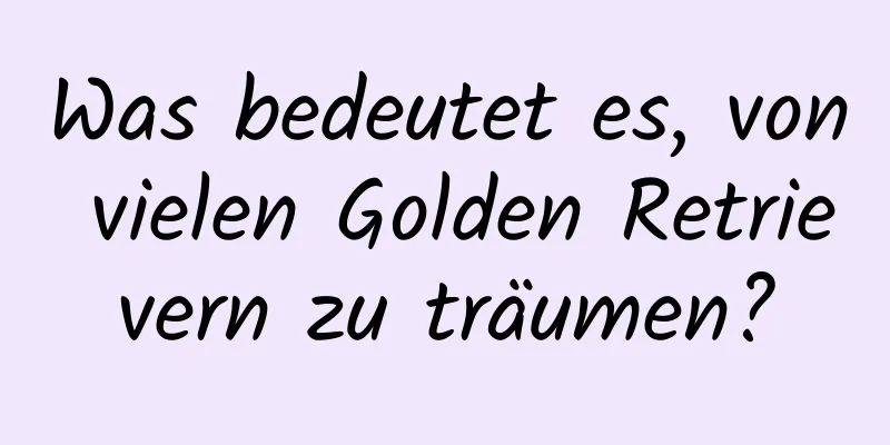 Was bedeutet es, von vielen Golden Retrievern zu träumen?