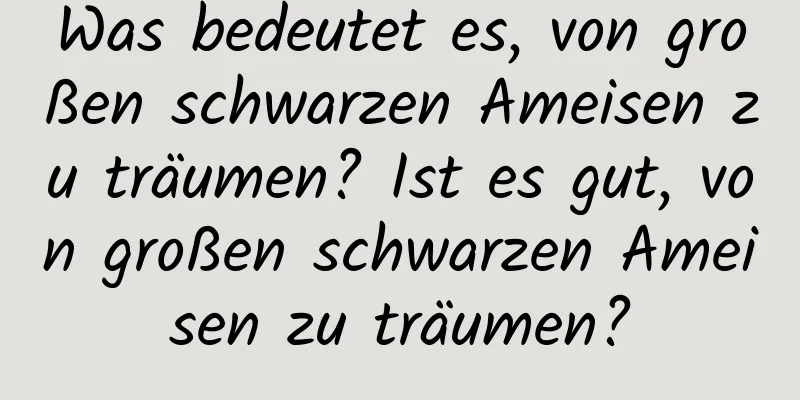 Was bedeutet es, von großen schwarzen Ameisen zu träumen? Ist es gut, von großen schwarzen Ameisen zu träumen?