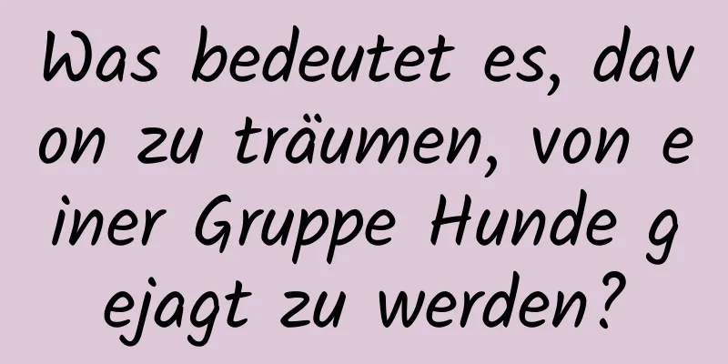 Was bedeutet es, davon zu träumen, von einer Gruppe Hunde gejagt zu werden?