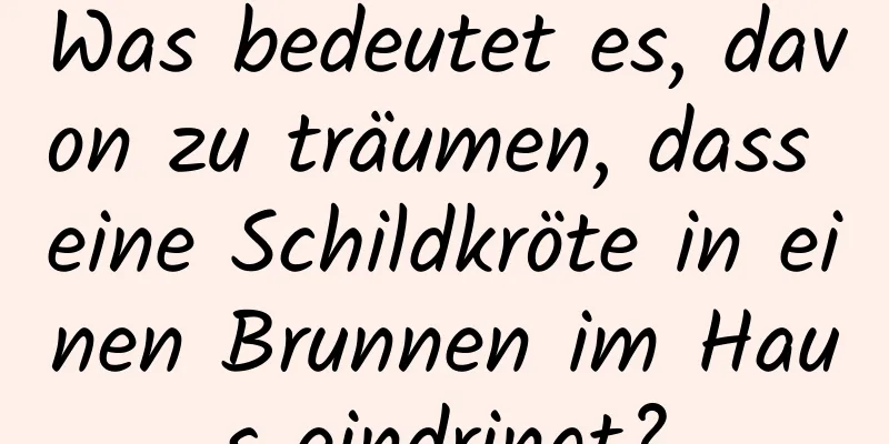 Was bedeutet es, davon zu träumen, dass eine Schildkröte in einen Brunnen im Haus eindringt?