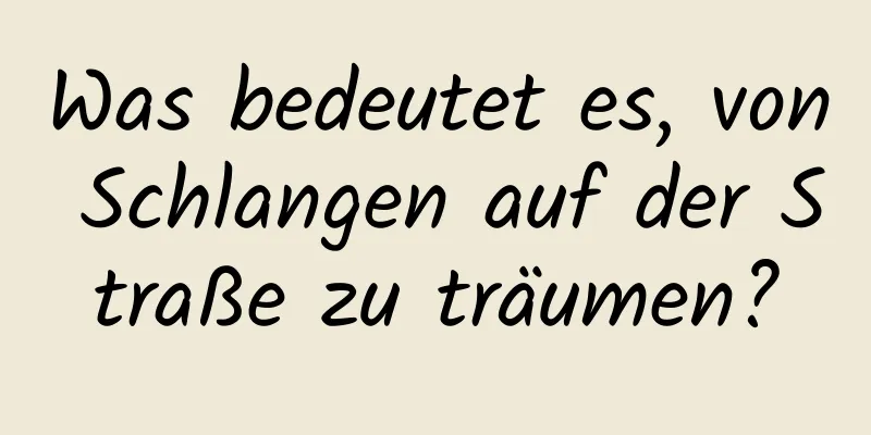 Was bedeutet es, von Schlangen auf der Straße zu träumen?