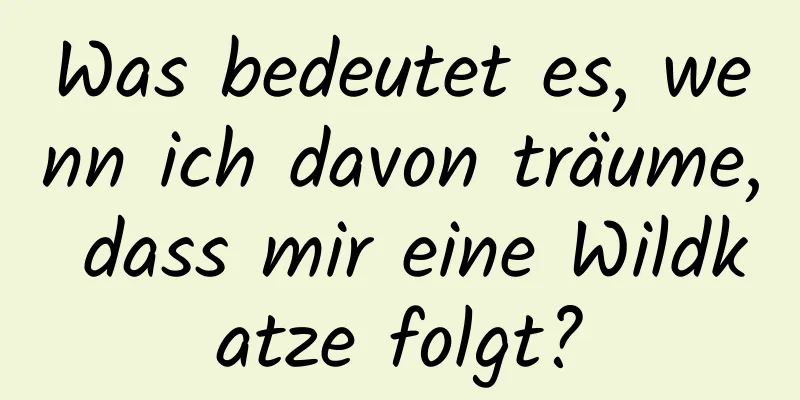 Was bedeutet es, wenn ich davon träume, dass mir eine Wildkatze folgt?