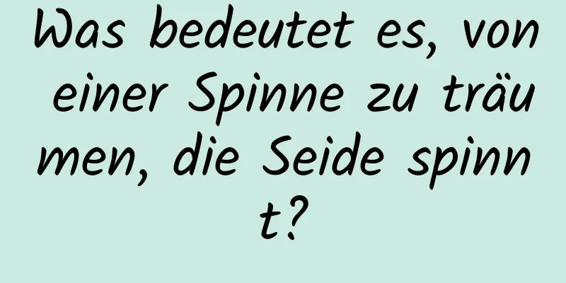 Was bedeutet es, von einer Spinne zu träumen, die Seide spinnt?