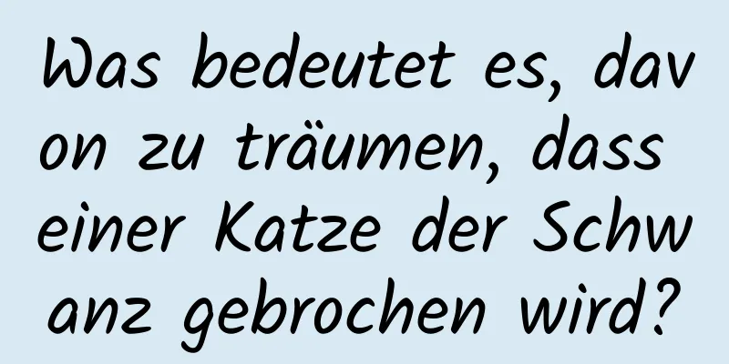 Was bedeutet es, davon zu träumen, dass einer Katze der Schwanz gebrochen wird?