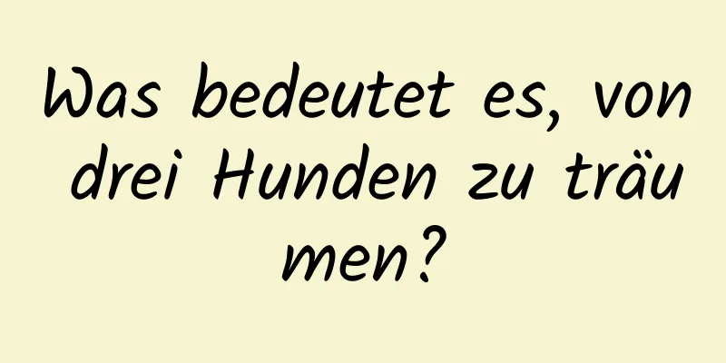 Was bedeutet es, von drei Hunden zu träumen?