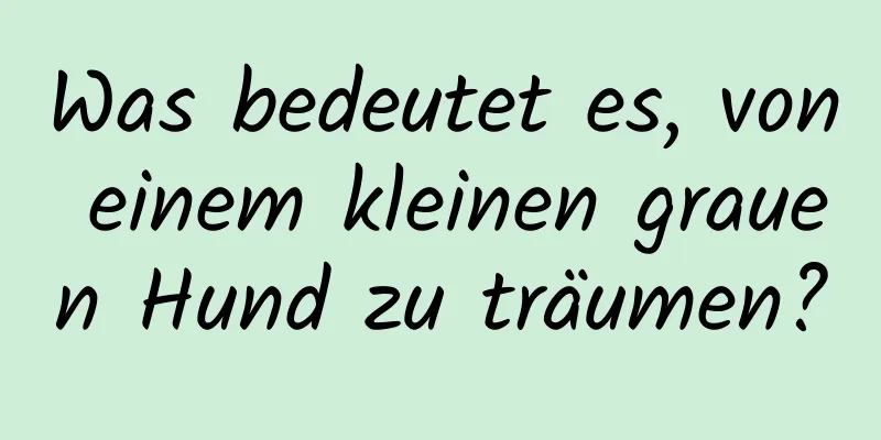 Was bedeutet es, von einem kleinen grauen Hund zu träumen?