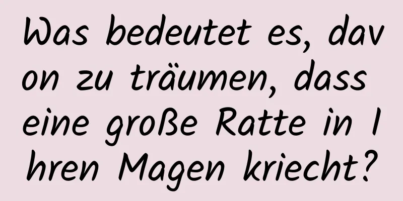 Was bedeutet es, davon zu träumen, dass eine große Ratte in Ihren Magen kriecht?