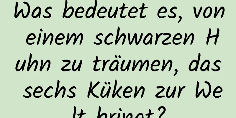 Was bedeutet es, von einem schwarzen Huhn zu träumen, das sechs Küken zur Welt bringt?