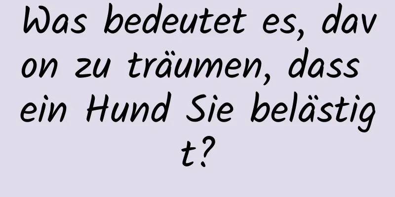 Was bedeutet es, davon zu träumen, dass ein Hund Sie belästigt?