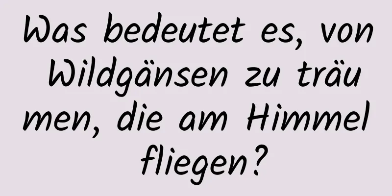 Was bedeutet es, von Wildgänsen zu träumen, die am Himmel fliegen?