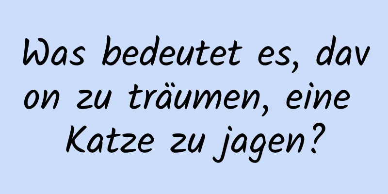 Was bedeutet es, davon zu träumen, eine Katze zu jagen?