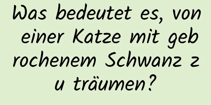 Was bedeutet es, von einer Katze mit gebrochenem Schwanz zu träumen?