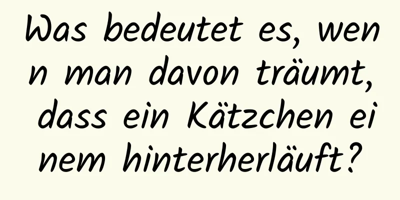 Was bedeutet es, wenn man davon träumt, dass ein Kätzchen einem hinterherläuft?