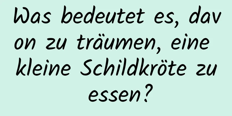 Was bedeutet es, davon zu träumen, eine kleine Schildkröte zu essen?