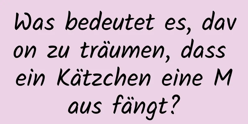 Was bedeutet es, davon zu träumen, dass ein Kätzchen eine Maus fängt?