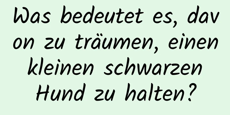 Was bedeutet es, davon zu träumen, einen kleinen schwarzen Hund zu halten?