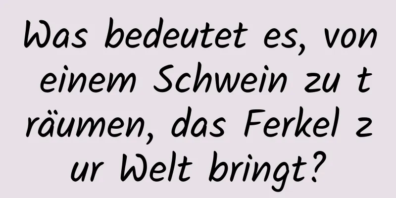 Was bedeutet es, von einem Schwein zu träumen, das Ferkel zur Welt bringt?