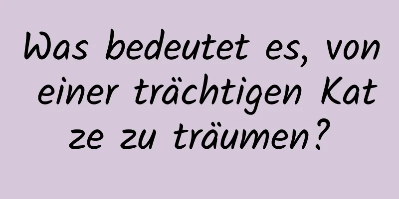 Was bedeutet es, von einer trächtigen Katze zu träumen?