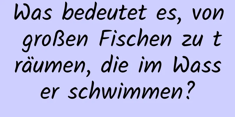Was bedeutet es, von großen Fischen zu träumen, die im Wasser schwimmen?