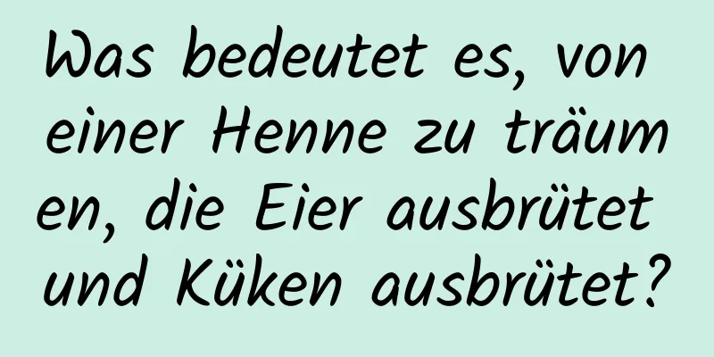 Was bedeutet es, von einer Henne zu träumen, die Eier ausbrütet und Küken ausbrütet?