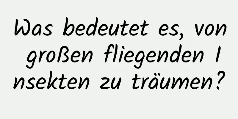 Was bedeutet es, von großen fliegenden Insekten zu träumen?