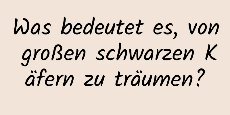 Was bedeutet es, von großen schwarzen Käfern zu träumen?