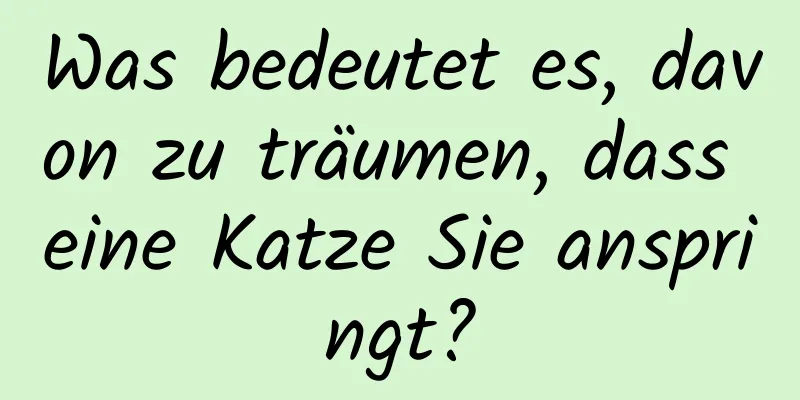 Was bedeutet es, davon zu träumen, dass eine Katze Sie anspringt?