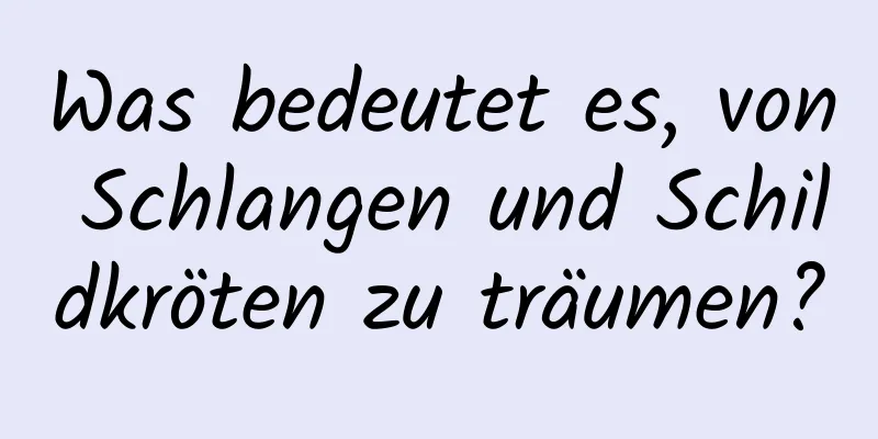 Was bedeutet es, von Schlangen und Schildkröten zu träumen?