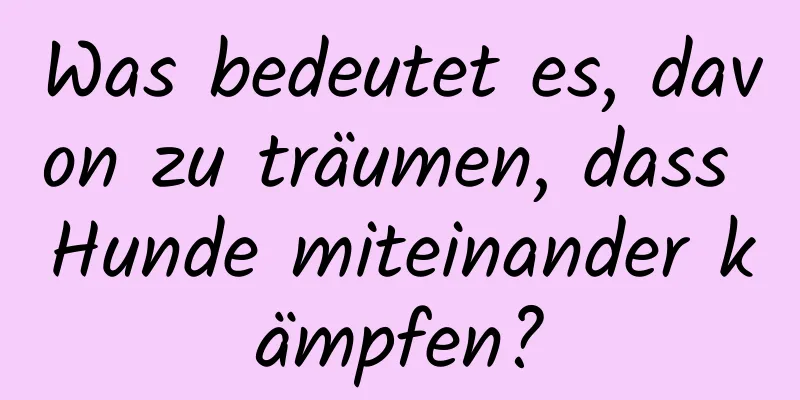 Was bedeutet es, davon zu träumen, dass Hunde miteinander kämpfen?