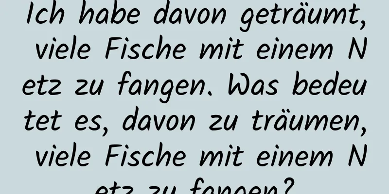 Ich habe davon geträumt, viele Fische mit einem Netz zu fangen. Was bedeutet es, davon zu träumen, viele Fische mit einem Netz zu fangen?