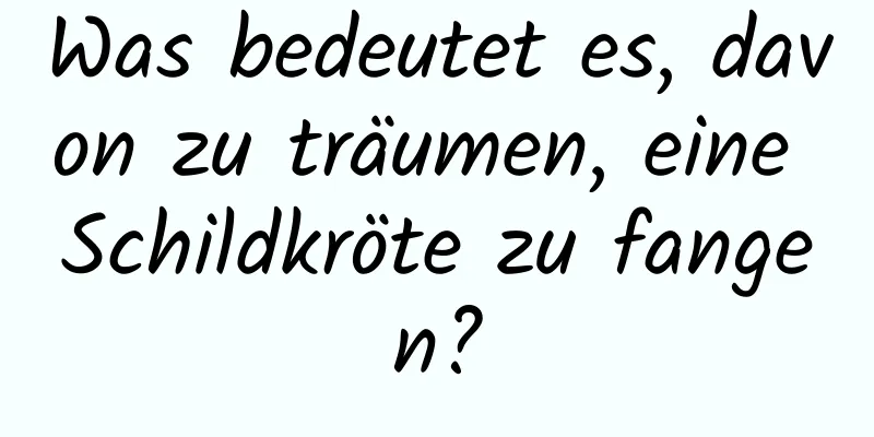 Was bedeutet es, davon zu träumen, eine Schildkröte zu fangen?