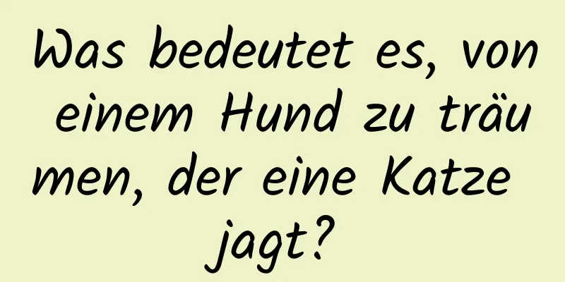 Was bedeutet es, von einem Hund zu träumen, der eine Katze jagt?