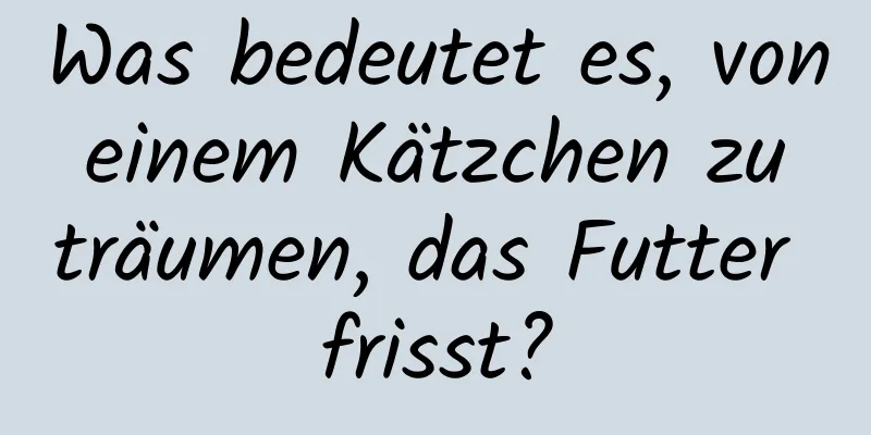 Was bedeutet es, von einem Kätzchen zu träumen, das Futter frisst?