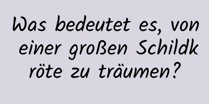 Was bedeutet es, von einer großen Schildkröte zu träumen?