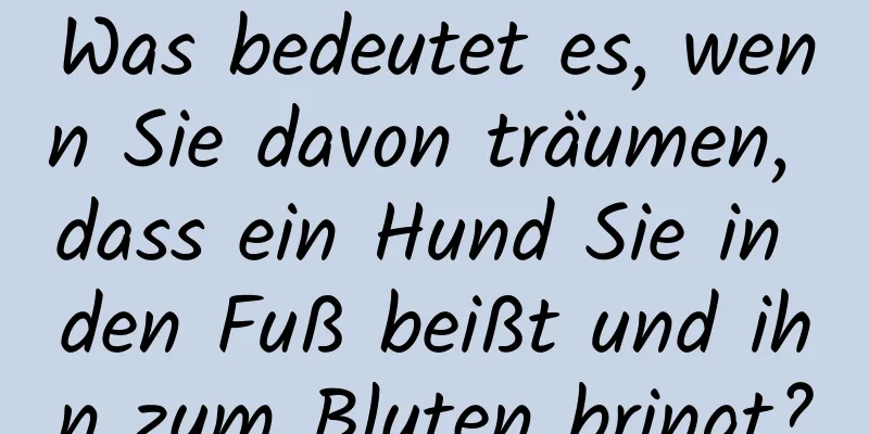 Was bedeutet es, wenn Sie davon träumen, dass ein Hund Sie in den Fuß beißt und ihn zum Bluten bringt?