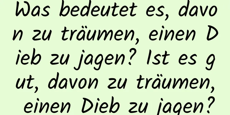 Was bedeutet es, davon zu träumen, einen Dieb zu jagen? Ist es gut, davon zu träumen, einen Dieb zu jagen?