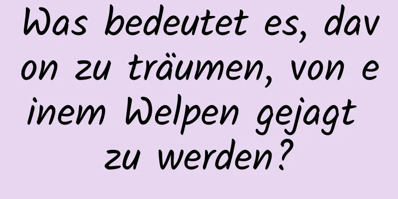 Was bedeutet es, davon zu träumen, von einem Welpen gejagt zu werden?