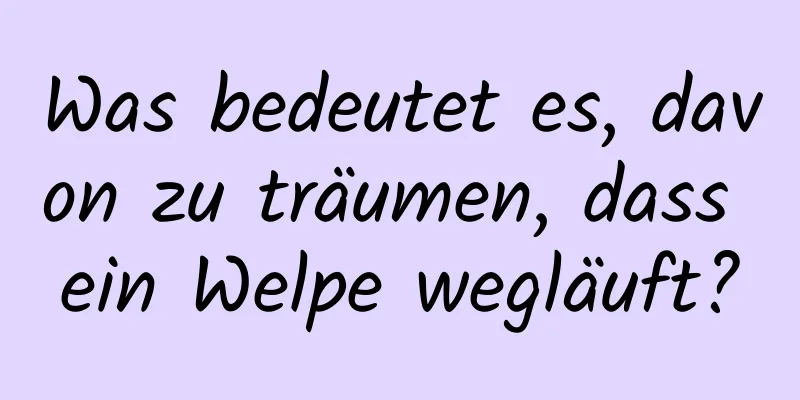 Was bedeutet es, davon zu träumen, dass ein Welpe wegläuft?