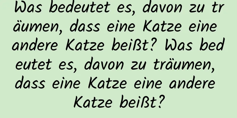 Was bedeutet es, davon zu träumen, dass eine Katze eine andere Katze beißt? Was bedeutet es, davon zu träumen, dass eine Katze eine andere Katze beißt?