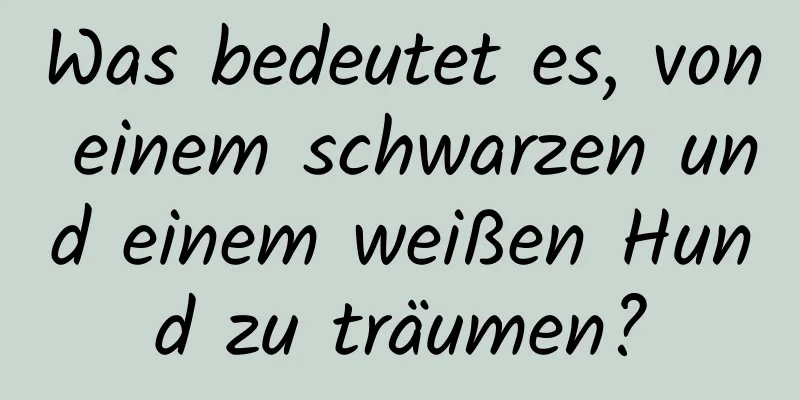 Was bedeutet es, von einem schwarzen und einem weißen Hund zu träumen?