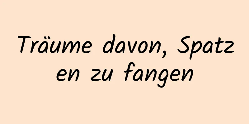 Träume davon, Spatzen zu fangen